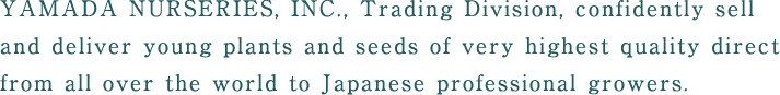 YAMADA NURSERIES, INC., Trading Division, confidently sell and deliver young plants and seeds of very highest quality direct from all over the world to japanese professional growers.