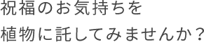 祝福のお気持ちを植物に託してみませんか？