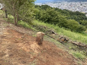 一旦終了　椅子かな？